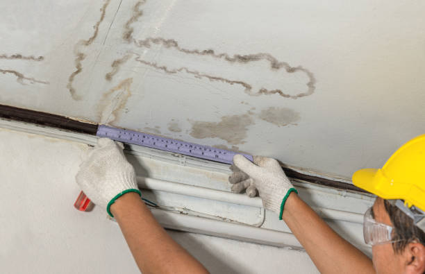 Reliable Water Damage contractor in Thurmond, WV by Water Damage Irwin